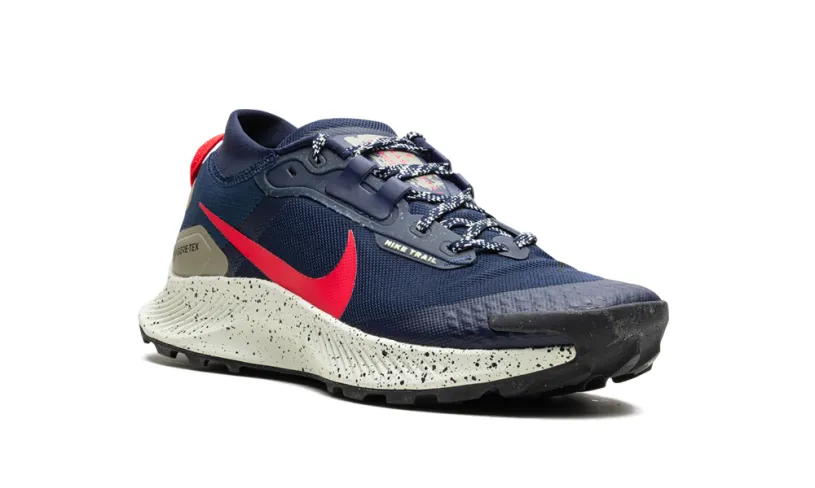 Nike Lifestyle Pegasus Trail 3 GTX 'GORE-TEX'